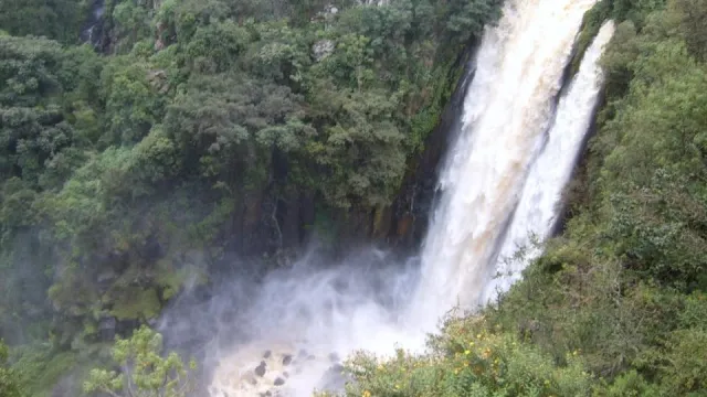 Thompson Falls