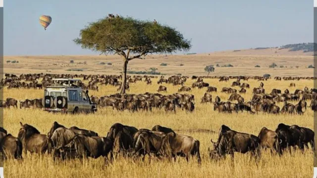 Masai Mara