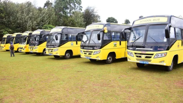 School buses