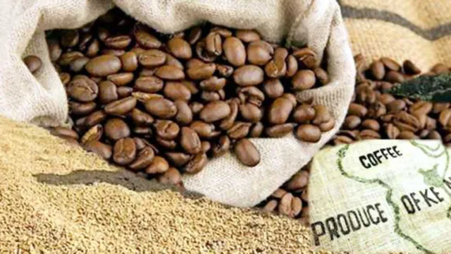 Kenya Coffee Exports
