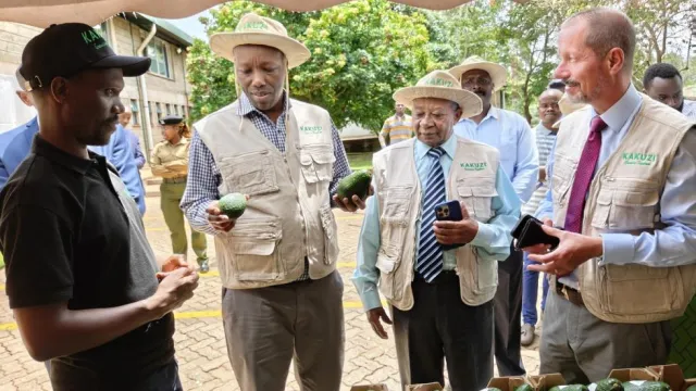 Agro Processing Kakuzi Plc