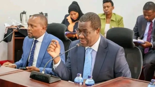 Opiyo Wandayi Energy CS