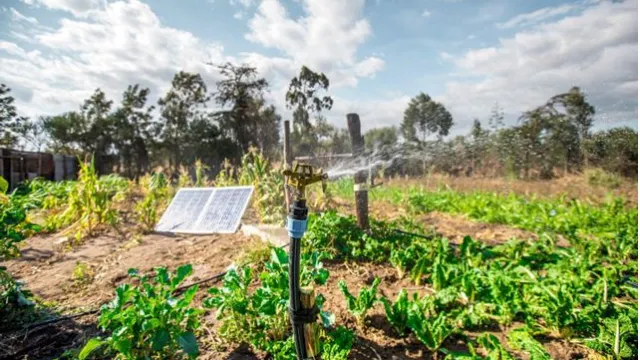 FSD Kenya Agriculture