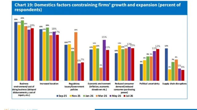 Kenya CEOs Survey