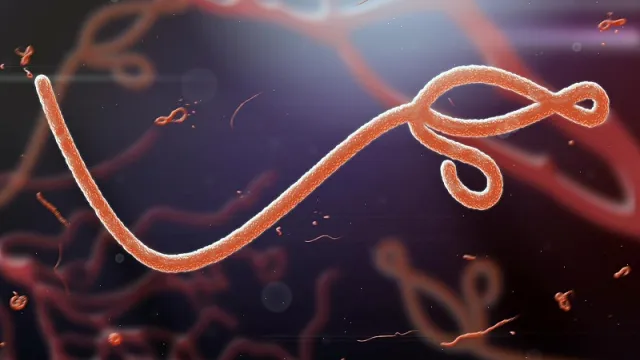 Ebola outbreak in Kenya