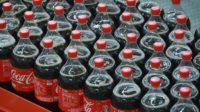  Environmental NGO starts petition to stop Coca Cola and fast food outlets from using plastics