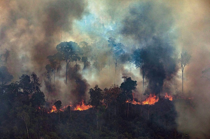  Amazon forest burning at a rate of three football fields per minute, what Kenya can learn.