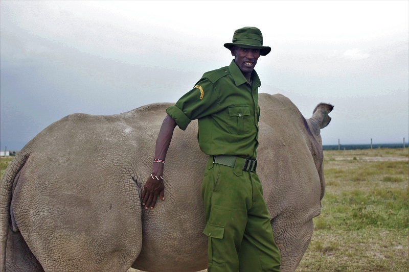  When ‘Sudan’ the rhino died; plight of a wildlife ranger