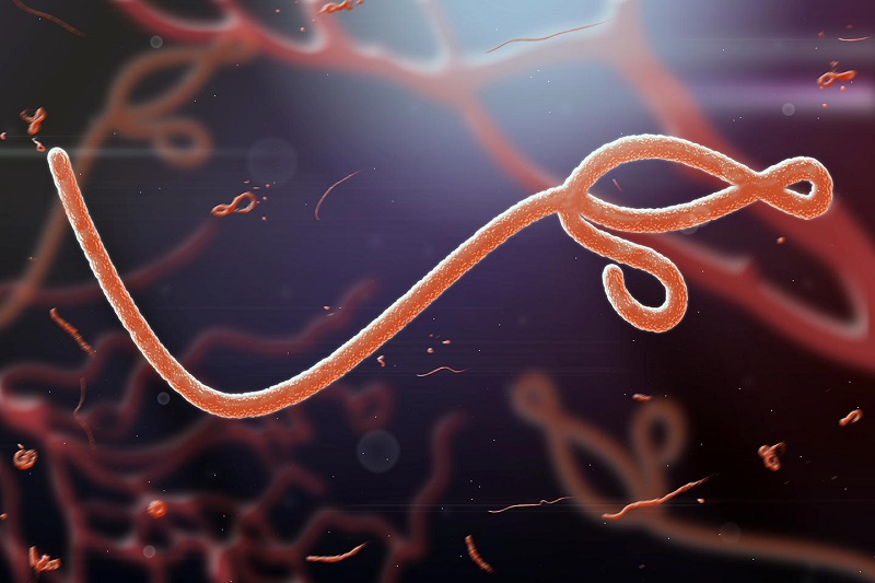  21 Ebola deaths reported in Uganda as virus grips seven districts