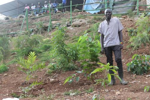 Paul-Otienos-Eden.-A-section-of-Mathare-River-where-Mathare-Slum-Community-Association-or-MASCA-has-planted-fruit-trees.-PHOTO-BY-OTIATO-OPALI